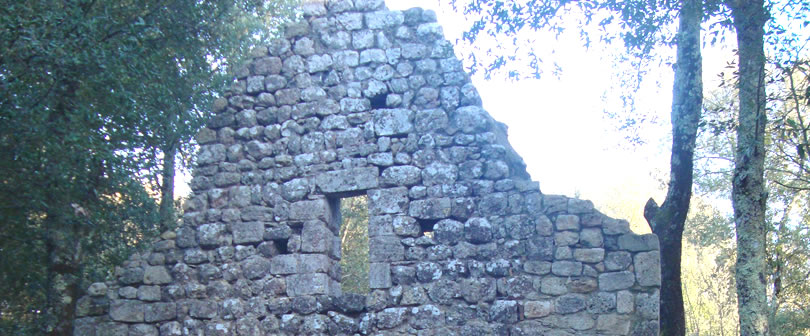 Slideshow Image 3